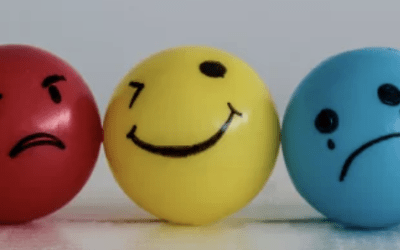 La Importancia de las Emociones