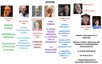 Qué es la Terapia Focalizada en la Emoción?